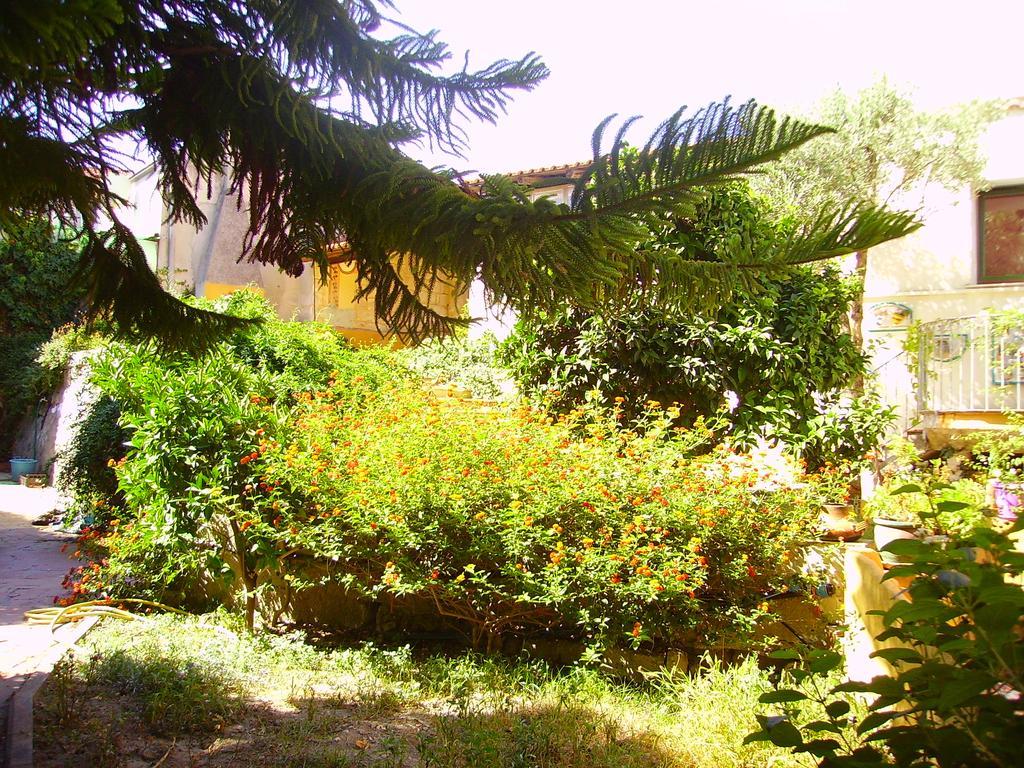 L'Antica Cantina Usini Exterior photo